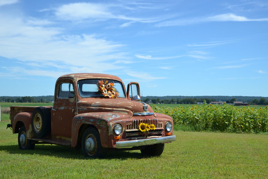 Serenity Farm Sunflower Festival Old Truck