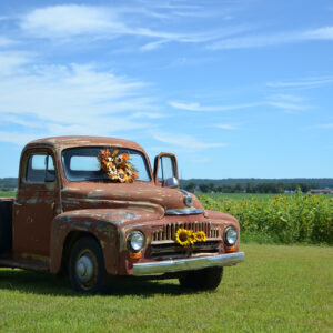 Serenity Farm Sunflower Festival Old Truck