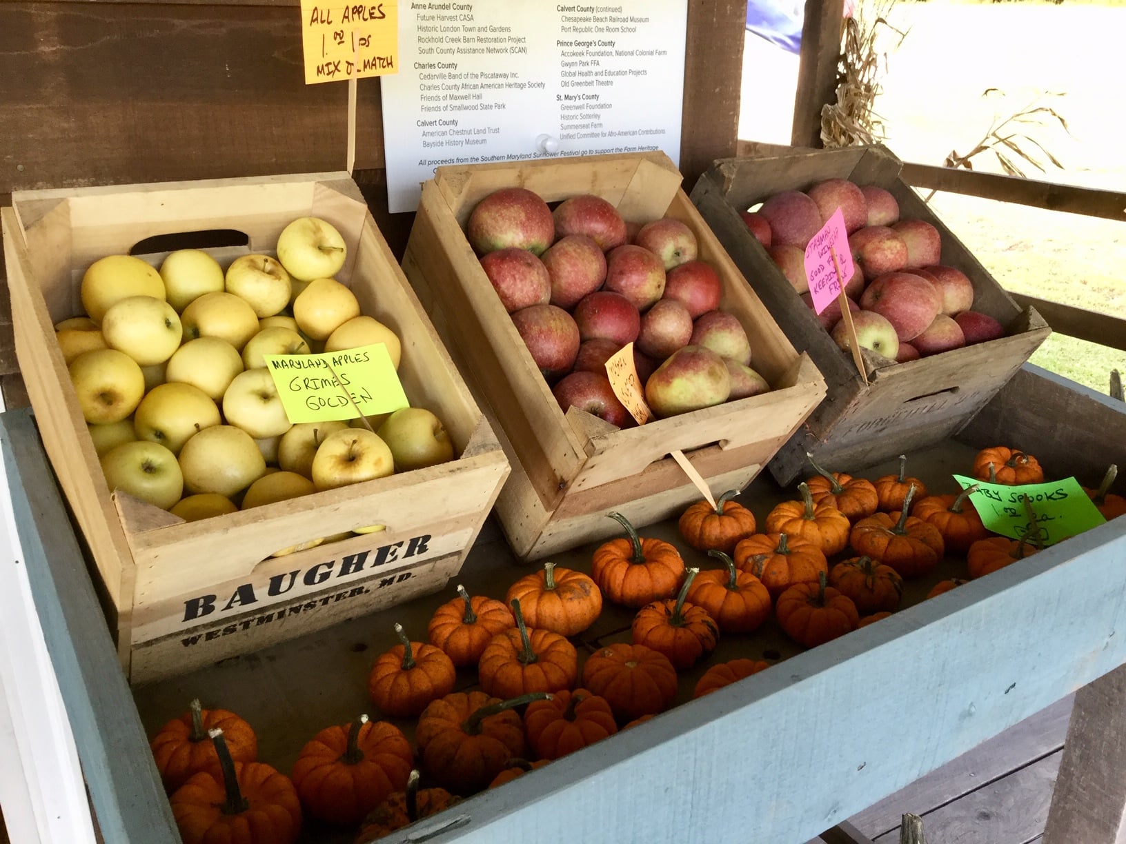 Apples Serenity Farm Benedict