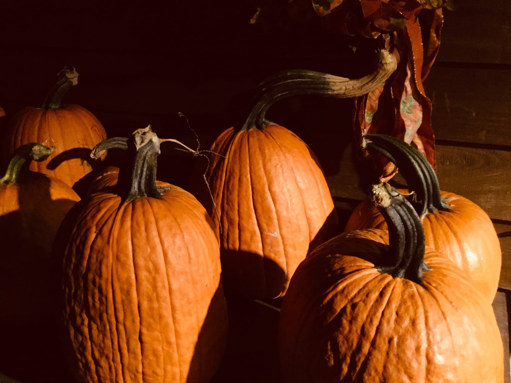 Pumpkins Serenity Farm Benedict